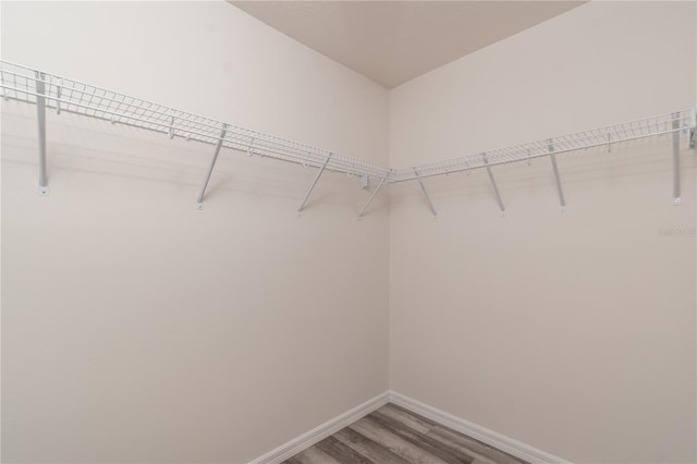 spacious closet with hardwood / wood-style flooring