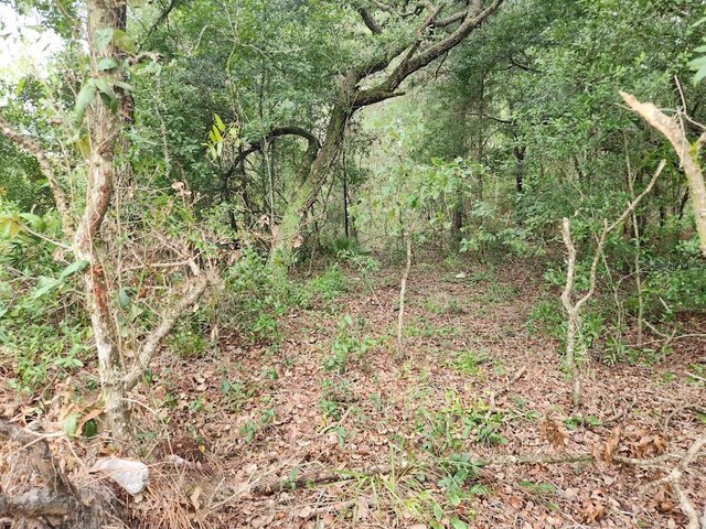LOT9 SW 79th Ter, Ocala, FL 34473