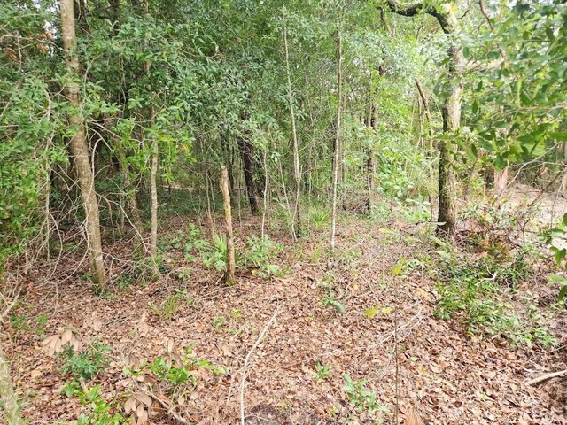 LOT9 SW 79th Ter, Ocala, FL 34473