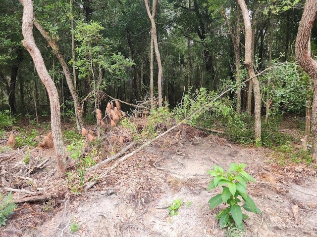 LOT9 SW 79th Ter, Ocala, FL 34473