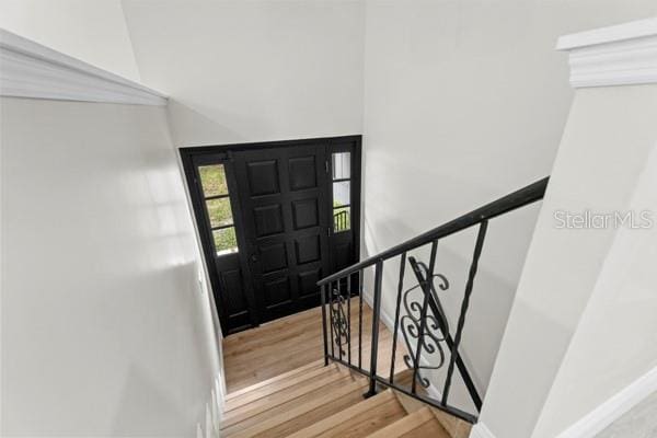 foyer entrance featuring light hardwood / wood-style floors