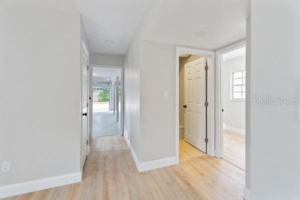 corridor with light hardwood / wood-style flooring and a healthy amount of sunlight