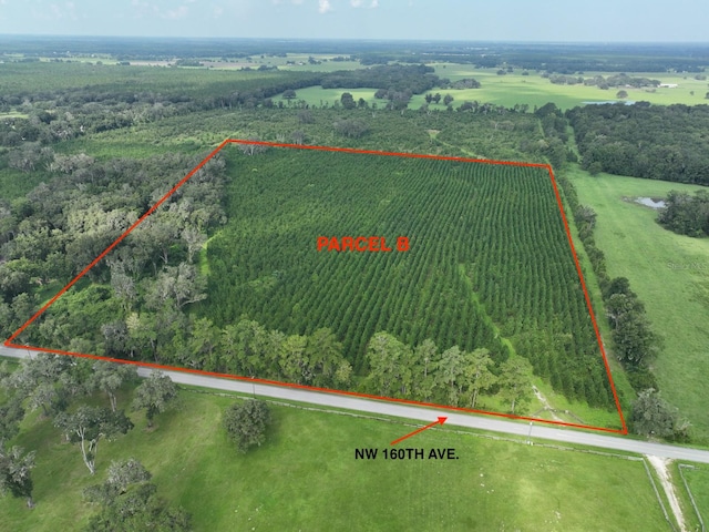 PARCELB NW 160th Ave, Morriston FL, 32668 land for sale