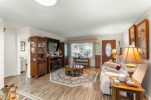 living room featuring a textured ceiling and light hardwood / wood-style flooring