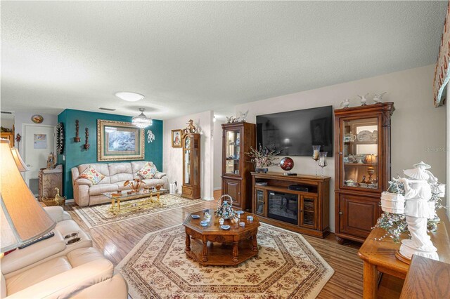 living room featuring hardwood / wood-style floors and a textured ceiling