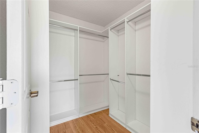 walk in closet with wood-type flooring