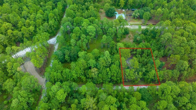 106 Gardenia Ave, Georgetown, FL 32139