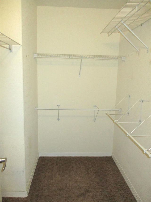 walk in closet with dark carpet