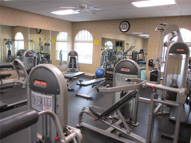 exercise room featuring ceiling fan and a drop ceiling