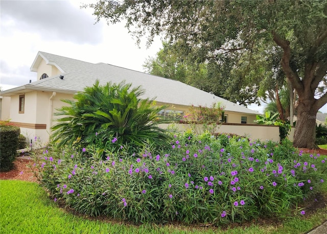 view of home's exterior featuring stucco siding