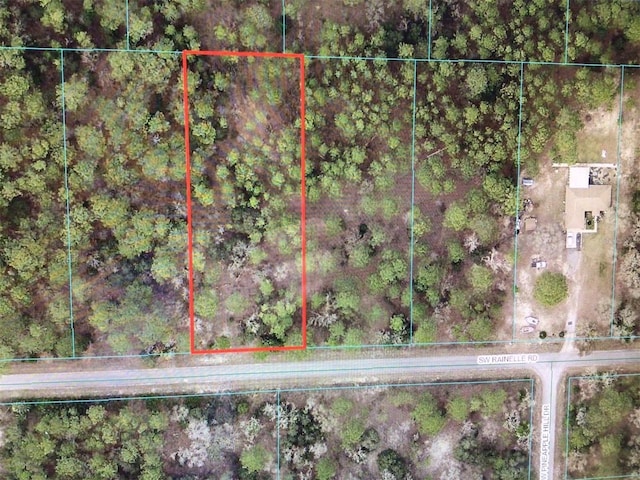 0 SW Rainelle Rd, Dunnellon FL, 34431 land for sale