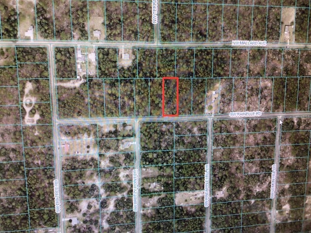 Listing photo 2 for 0 SW Rainelle Rd, Dunnellon FL 34431