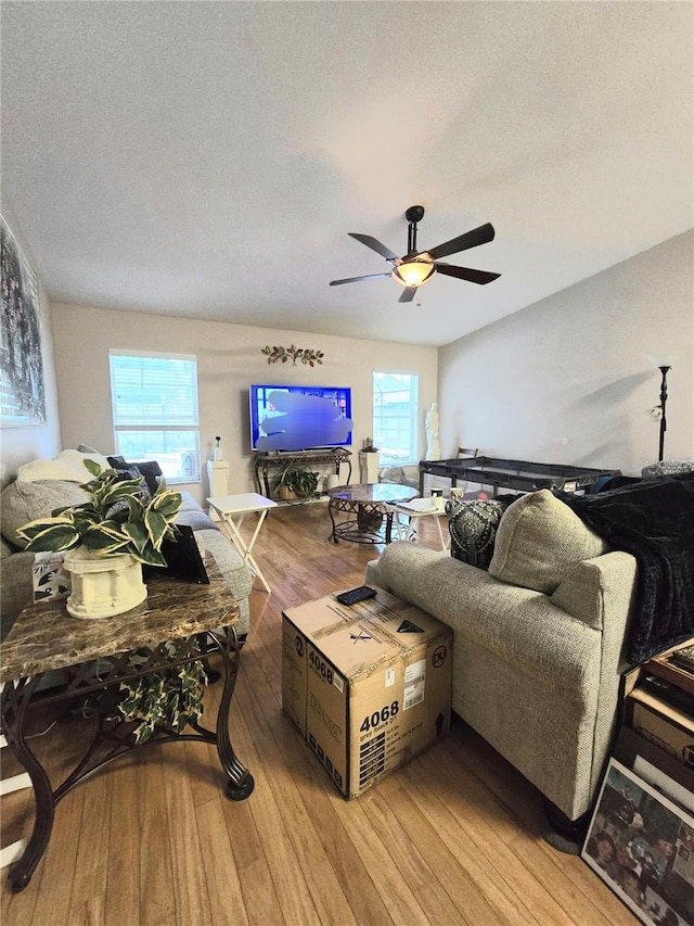 living room featuring plenty of natural light, a textured ceiling, and light hardwood / wood-style flooring