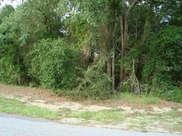 Listing photo 2 for TBD SE 74th Ave, Belleview FL 34421