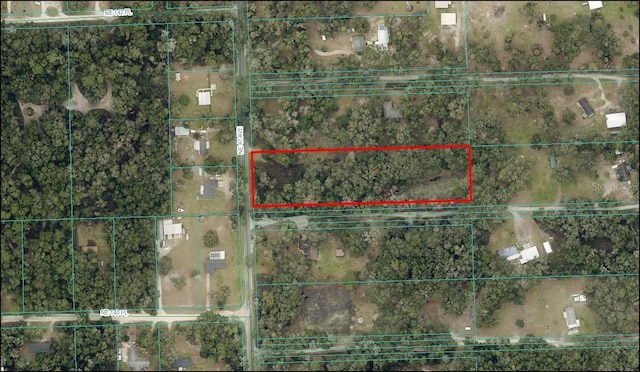 14155 NE 47th Ave, Anthony FL, 32617 land for sale