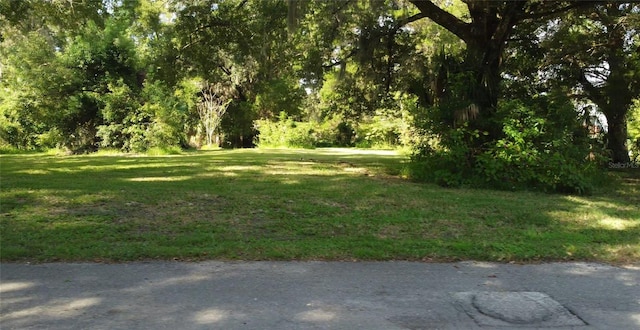 15, 17, AND19 65th St, Yankeetown FL, 34498 land for sale