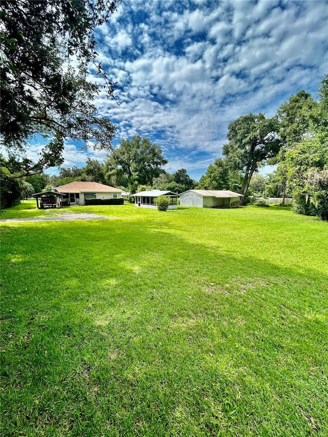 view of yard featuring a shed