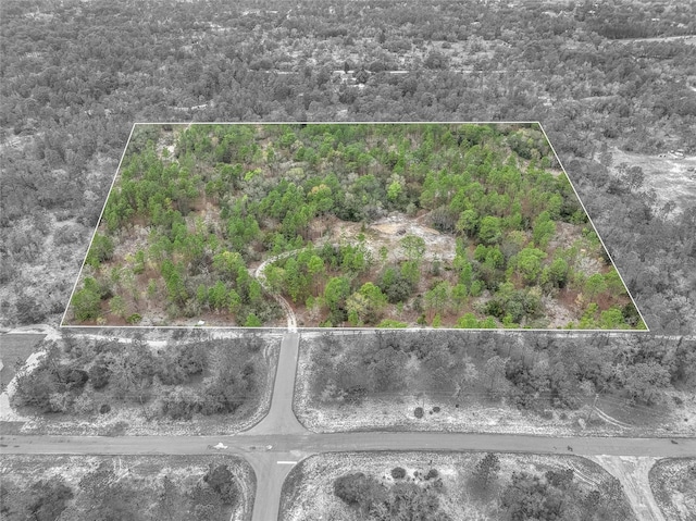 3057 W Scooter Ln, Dunnellon FL, 34433 land for sale