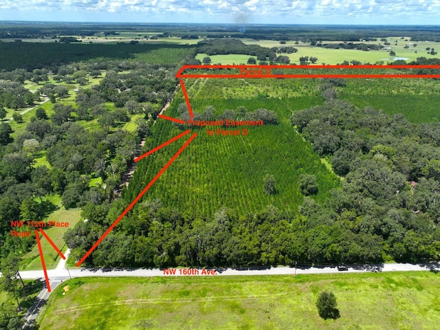 PARCELD NW 160th Ave, Morriston FL, 32668 land for sale