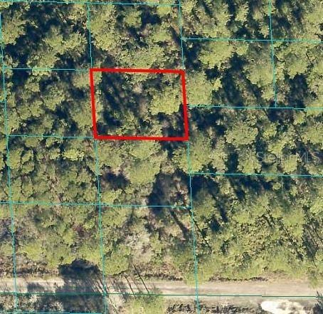 TBD NE 132nd Pl, Citra FL, 32113 land for sale