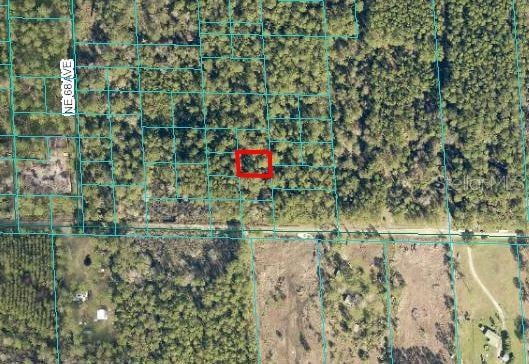 Listing photo 2 for TBD NE 132nd Pl, Citra FL 32113