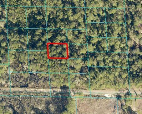 TBD NE 132nd Pl, Citra FL, 32113 land for sale