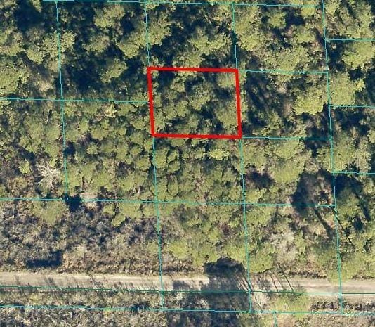 Listing photo 2 for TBD NE 132nd Pl, Citra FL 32113