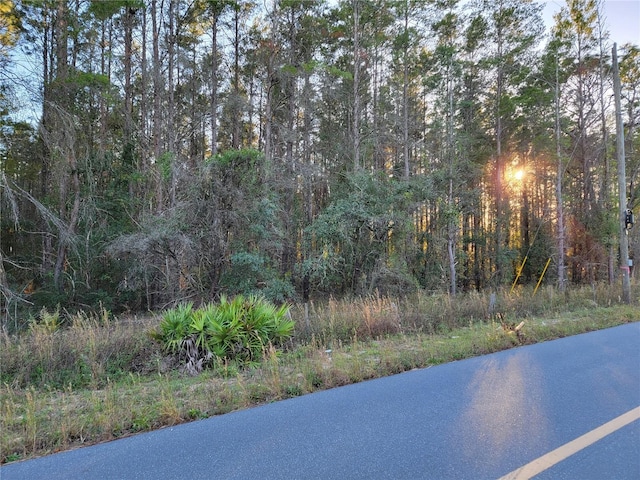 0 NE 105th St, Archer FL, 32618 land for sale