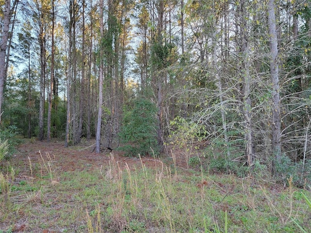 0 NE 105th St, Archer, FL 32618