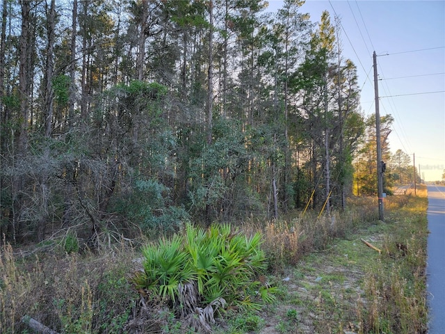 0 NE 105th St, Archer, FL 32618