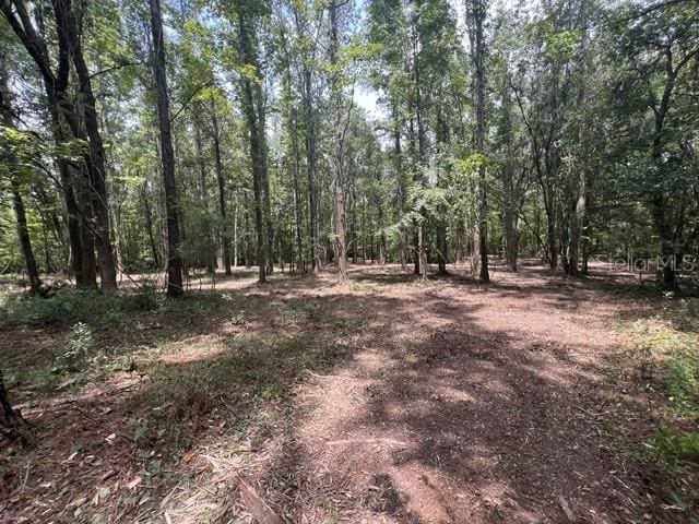 TBD NW 142nd St, Williston FL, 32696 land for sale