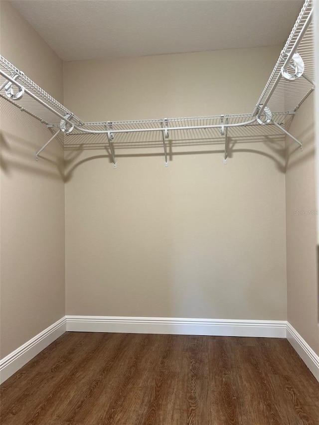 spacious closet featuring dark hardwood / wood-style floors