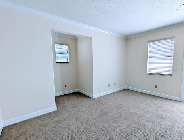 carpeted empty room featuring ornamental molding, a textured ceiling, and plenty of natural light