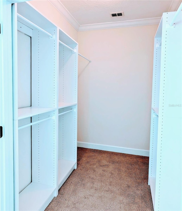 walk in closet with carpet floors