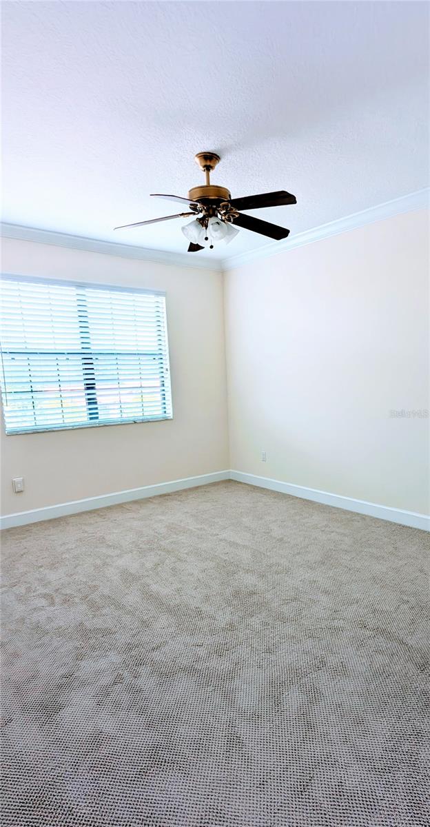 carpeted empty room with ceiling fan and crown molding