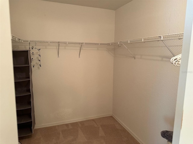 walk in closet featuring carpet