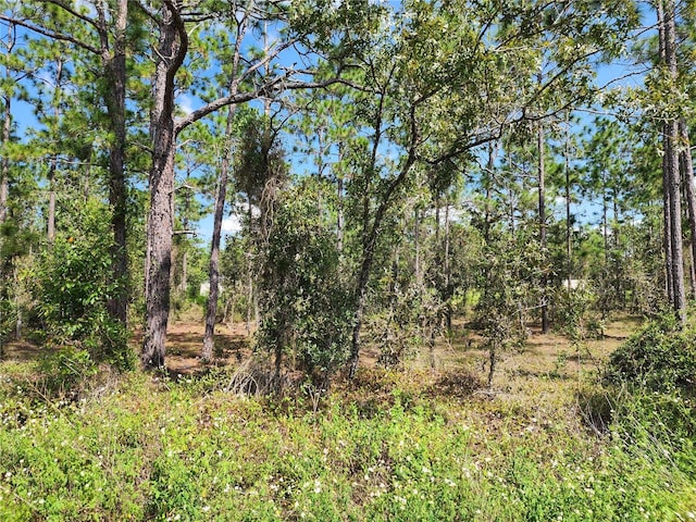 TBD SW Ridgewood Rd, Dunnellon FL, 34431 land for sale