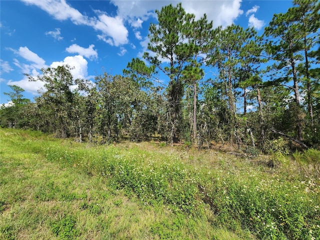 Listing photo 2 for TBD SW Ridgewood Rd, Dunnellon FL 34431