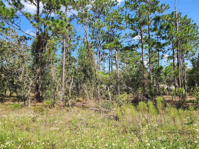 Listing photo 3 for TBD SW Ridgewood Rd, Dunnellon FL 34431