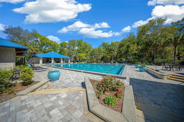 10820 SW 87th Ter, Ocala, FL 34481 - community pool featuring a patio and view of scattered trees