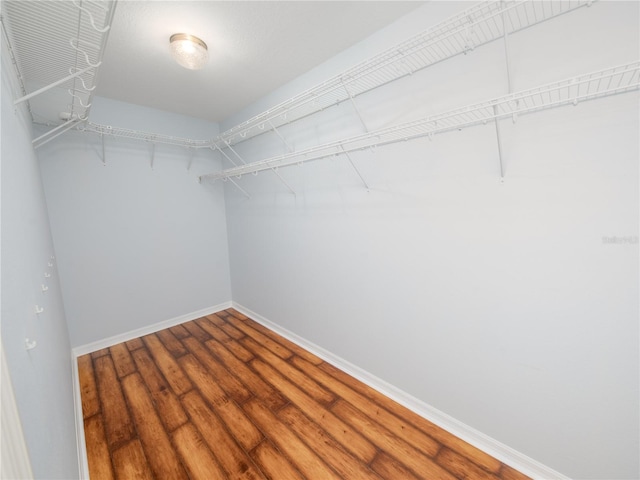 walk in closet featuring wood-type flooring