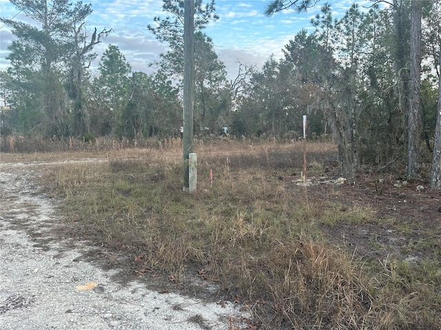 Listing photo 3 for 7th Pl NE, Williston FL 32696