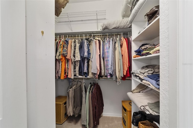 walk in closet with carpet flooring