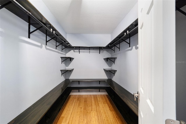 spacious closet with hardwood / wood-style floors