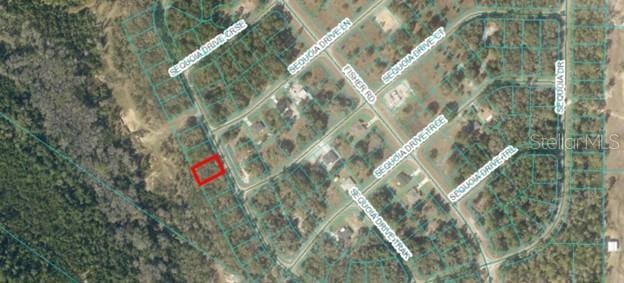 00 Sequioa Dr, Ocklawaha FL, 32179 land for sale