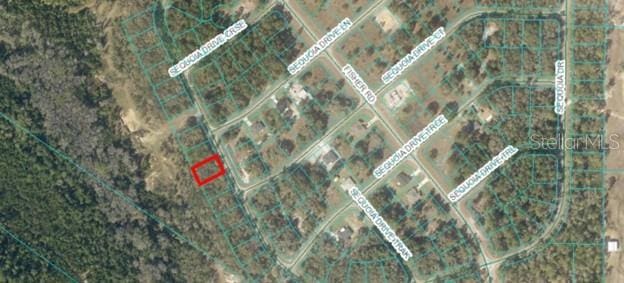 00 Sequioa Dr, Ocklawaha, FL 32179