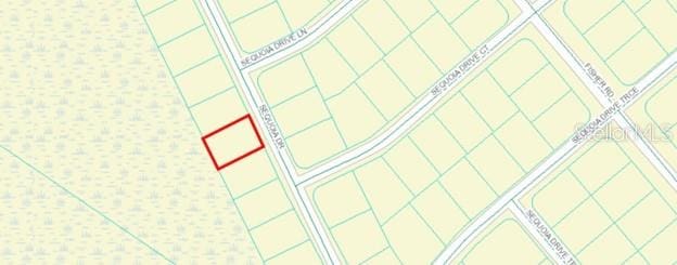 00 Sequioa Dr, Ocklawaha, FL 32179