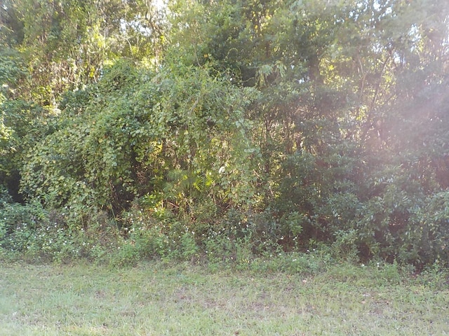 11641 N Kenlake Cir, Citrus Springs, FL 34434 - photo 1