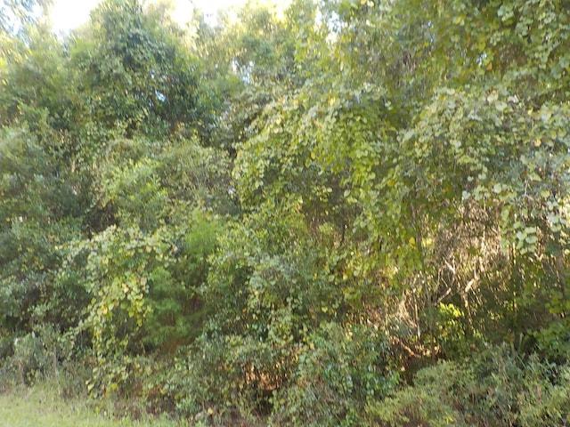 11641 N Kenlake Cir, Citrus Springs, FL 34434 - photo 3