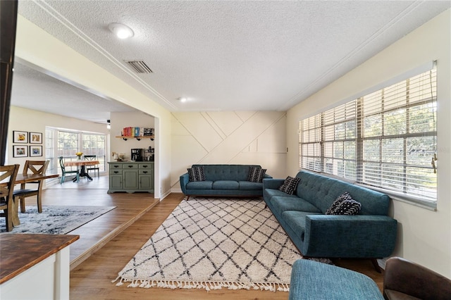 living room featuring a textured ceiling and hardwood / wood-style floors